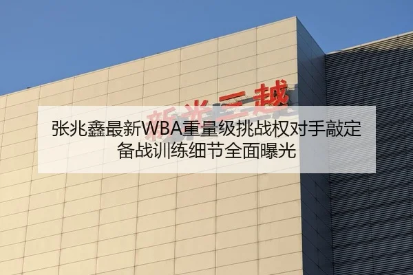 张兆鑫最新WBA重量级挑战权对手敲定 备战训练细节全面曝光 | kaiyun